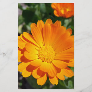 geheime Blume Briefpapier