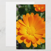 geheime Blume Briefpapier (Vorne/Hinten)