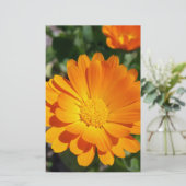 geheime Blume Briefpapier (Stehend Vorderseite)