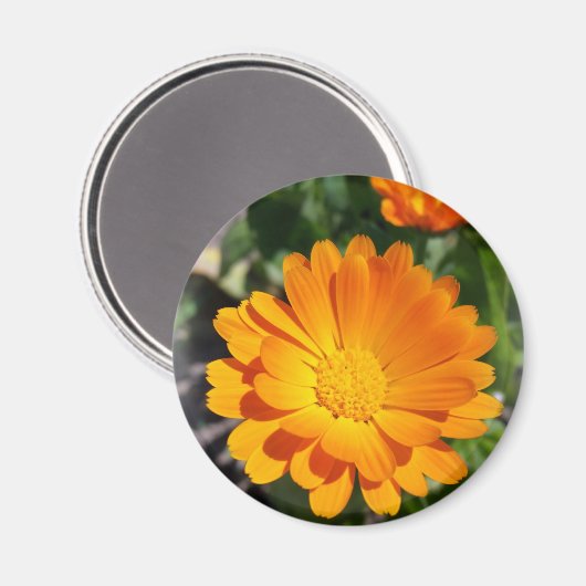geheime Blume Magnet (Vorderseite/Rückseite)