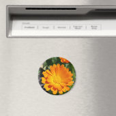 geheime Blume Magnet (In Situ (Geschirrspüler))