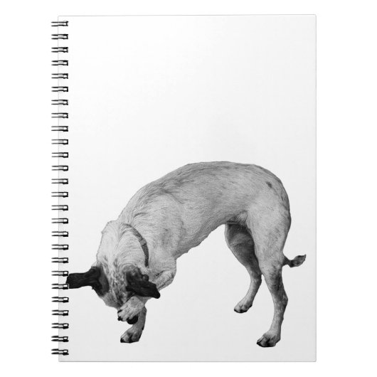Geheime Listen Terrier Notizblock (Vorderseite)