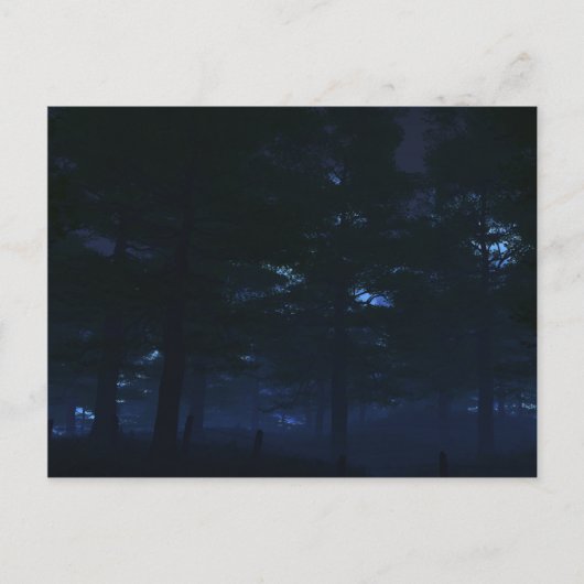 Geheime Postkarten der Natur (Vorderseite)