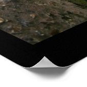 Geheime Stelle Poster (Ecke)