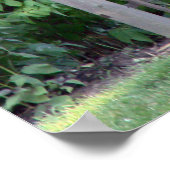 geheimes Gartenposter AB 8.99 Platz Poster (Ecke)