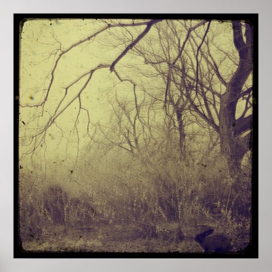 Geheimgarten Poster (Vorne)