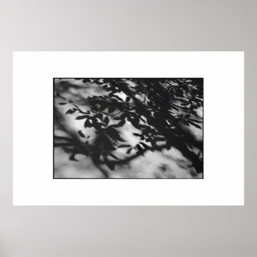 Geheimgarten Poster (Vorne)