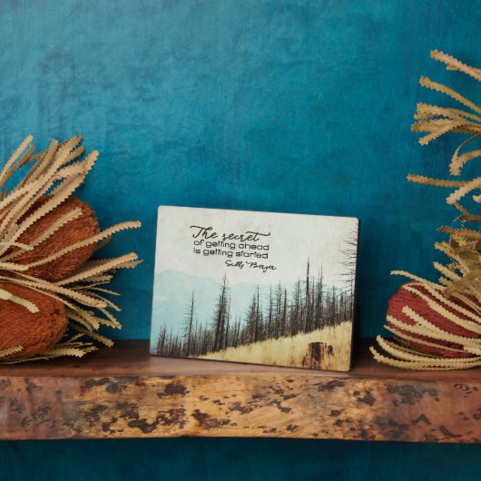 Geheimnis des Vorgehens Fotoplatte (Seite)