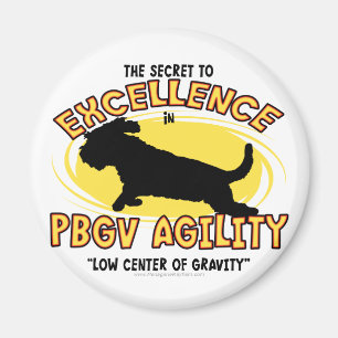 Geheimnis-Magnet des Agility-PBGV Magnet