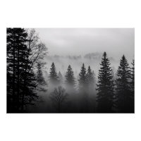 Geheimnisse des Nebelglases