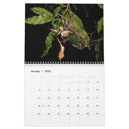 Geheimnisse einer Garten-Spinne Kalender (Jan 2026)