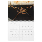 Geheimnisse einer Garten-Spinne Kalender (Mär 2027)