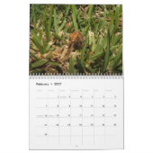 Geheimnisse einer Garten-Spinne Kalender (Feb 2027)