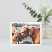 Geheimnisse Postkarte (Stehend Vorderseite)