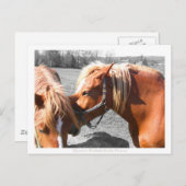 Geheimnisse Postkarte (Vorne/Hinten)