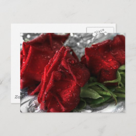 Geheimnisse Postkarte (Vorne/Hinten)