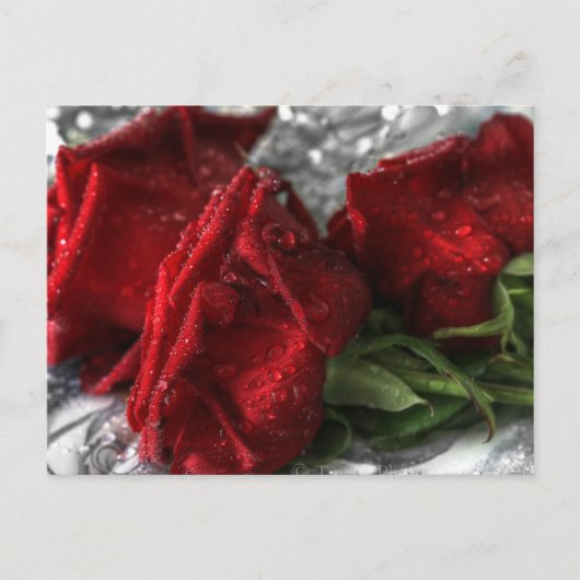 Geheimnisse Postkarte (Vorderseite)