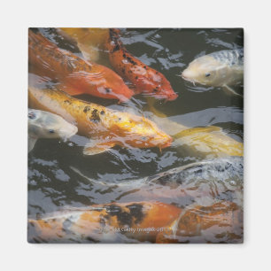 Geheimnistuerische Fische Magnet