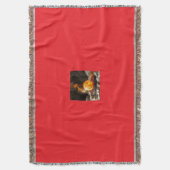 Geheimnisvolle Dracheneier – Ursprung des Feuers Decke (Vorderseite Vertikal)