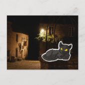 Geheimnisvolle Katze Postkarte (Vorderseite)