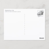 Geheimnisvolle Katze Postkarte (Rückseite)