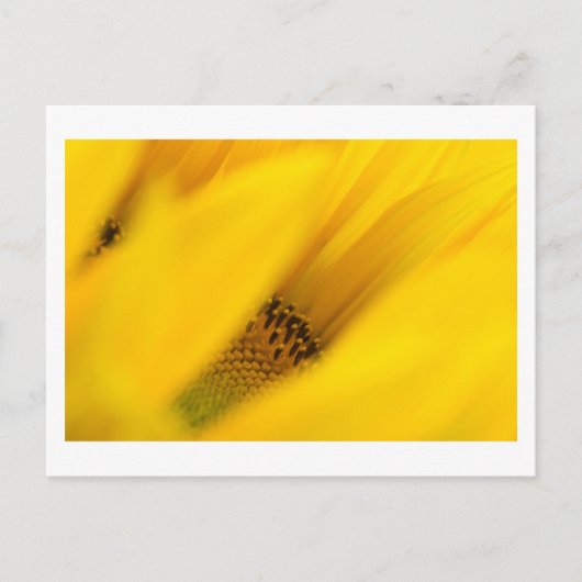 Geheimnisvolle Postkarte (Vorderseite)