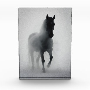 Geheimnisvolles schwarzes Pferd tritt aus dem Nebe Fotoblock