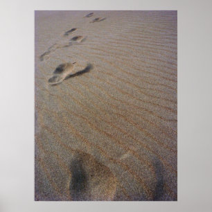 Gehen der Strand Poster