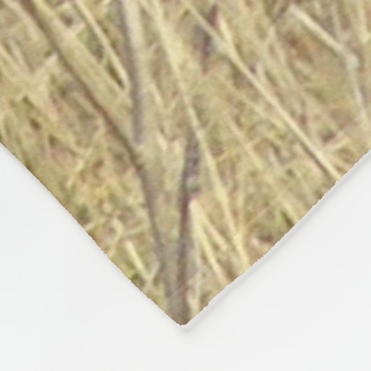 Gehen des Kojote-R14 Fleecedecke (Ecke)