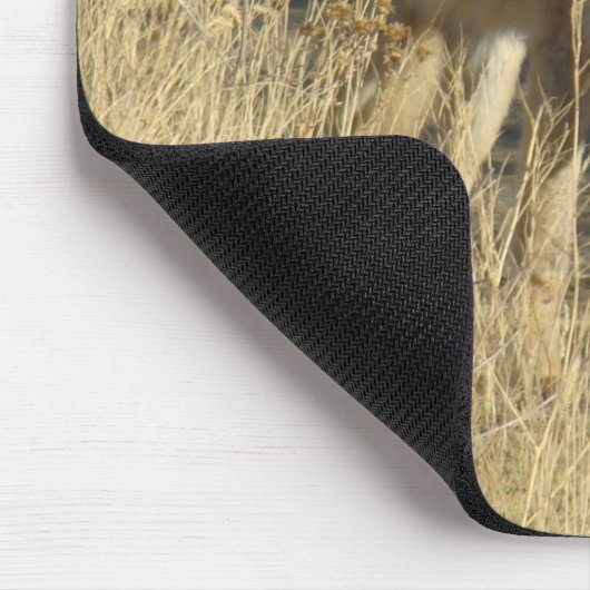 Gehen des Kojote-R14 Mousepad (Ecke)