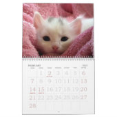 Gehen ~ gehen Kalender der Kätzchen-2016 (Feb 2027)