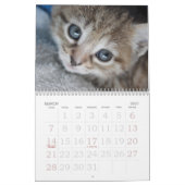 Gehen ~ gehen Kalender der Kätzchen-2016 (Mär 2027)