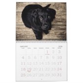 Gehen ~ gehen Kalender des Welpen-2016 niedliches (Jan 2026)