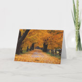 Gehen hinunter die alten Zeiten des Herbstes Karte (Rückseite)