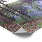 Gehen Sie auf einen Suwannee River White Springs F Poster (Ecke)