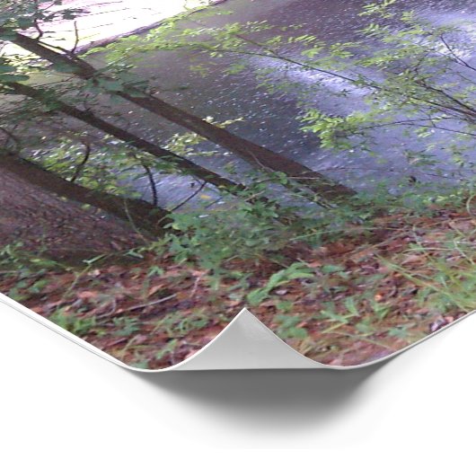 Gehen Sie auf einen Suwannee River White Springs F Poster (Ecke)