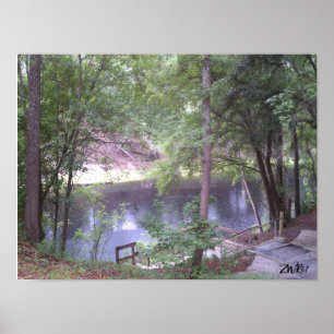 Gehen Sie auf einen Suwannee River White Springs F Poster