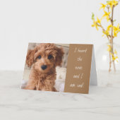 GEHEN SIE ERNSTHAFT ÜBER IHREN WEG! KARTE (Gelbe Blume)