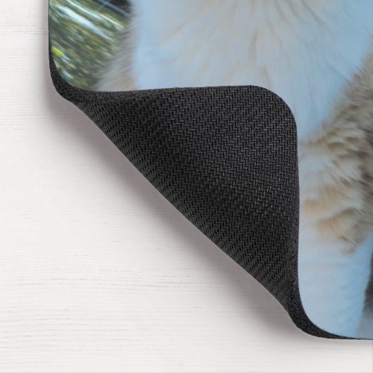 Gehen Sie in den Laden? Funny Cat Meme Mousepad (Ecke)