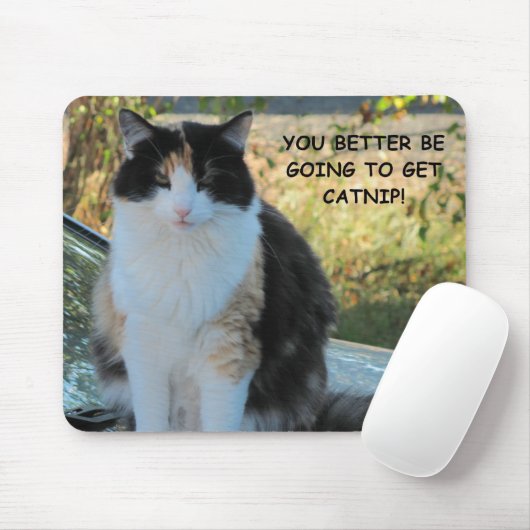 Gehen Sie in den Laden? Funny Cat Meme Mousepad (Mit Mouse)