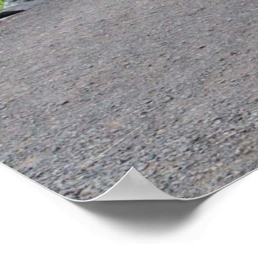 Gehen Sie mit mir Poster (Ecke)