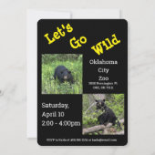 Gehen wir zum TierZoo zum ersten Geburtstag Einladung (Rückseite)