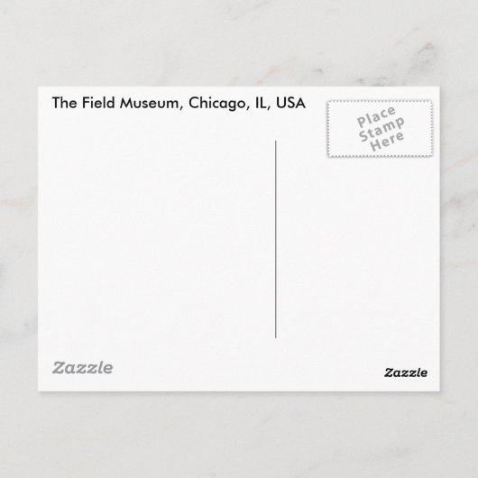 Gehen zum Feldmuseum Postkarte (Rückseite)