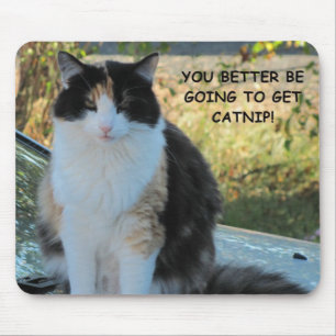 Gehen zum Speicher? Lustige Katze Meme Mousepad