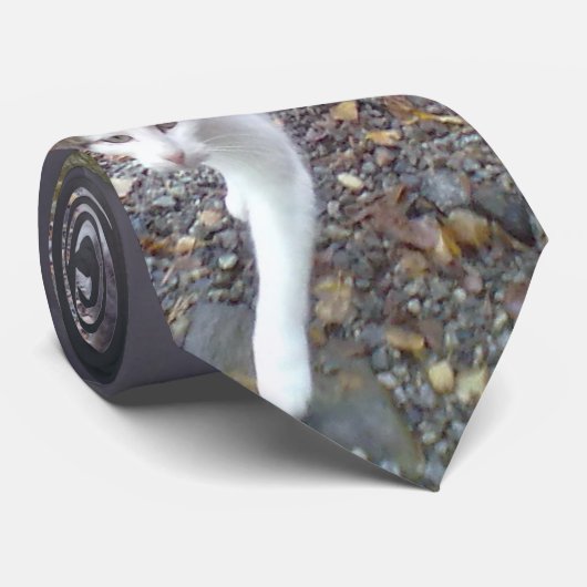 Gehende Katze Krawatte (Gerollt)