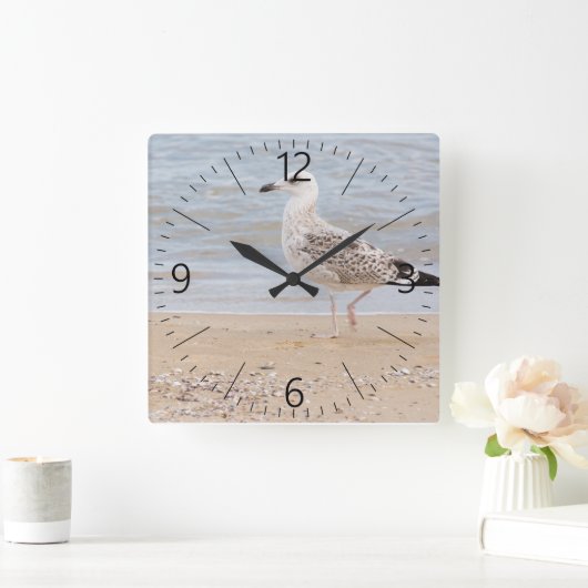 Gehende Möve Quadratische Wanduhr (Zuhause)