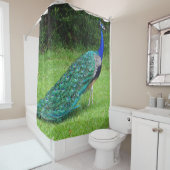 Gehender Pfau Duschvorhang (Beispiel)