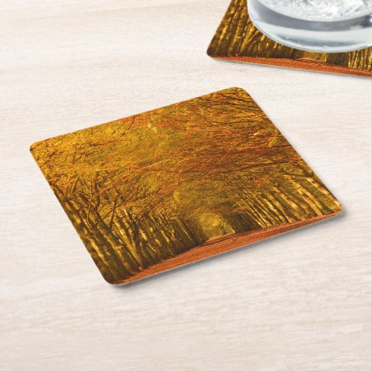 Gehender Weg durch den Wald im Herbst-Untersetzer Rechteckiger Pappuntersetzer (angewinkelt)