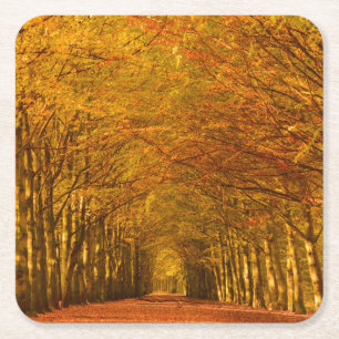 Gehender Weg durch den Wald im Herbst-Untersetzer Rechteckiger Pappuntersetzer