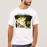 Gehendes Grün - Baumfrosch